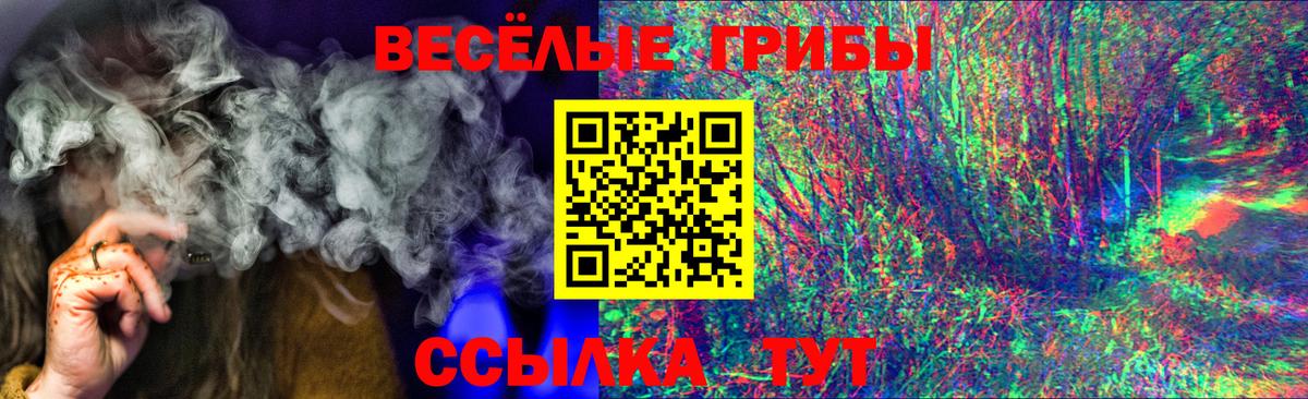 Галлюциногенные грибы прущие грибы  Вход с VPN  Саянск 
